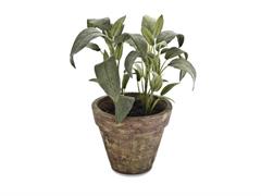 VASETTO SALVIA D12 H25 VERDE