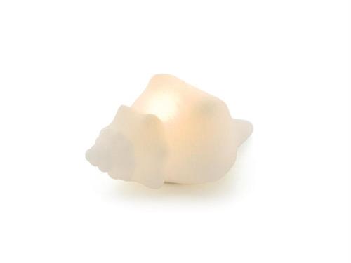 CANDELA LED CONCHIGLIA CM14 (LUCE LED INTERNA) BIANCO