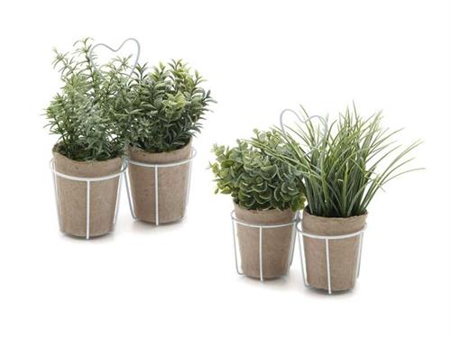 MASTELLINO C/2 PIANTE VERDI D18 H23 ASS VERDE