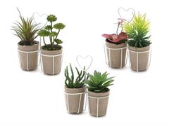 MASTELLINO C/2 PIANTE GRASSE D18 H23 ASS MULTI