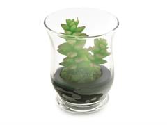 CANDELA CACTUS IN VETRO D9 H11 VERDE