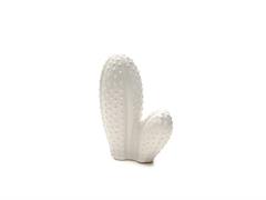 CACTUS CERAMICA D22 H30 BIANCO