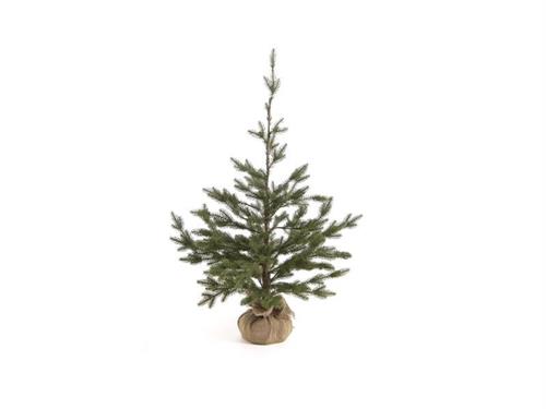 ABETE MARMOLADA C/BASE YUTA H90