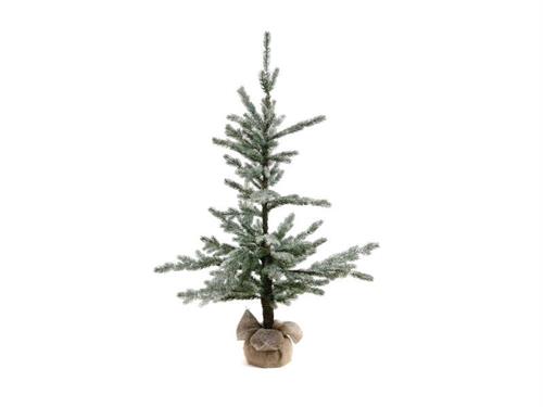 ABETE PILATUS C/BASE YUTA H120 GHIACCIATO