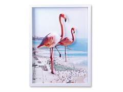 QUADRO PLEXI FLAMINGO CM60X80 MULTI