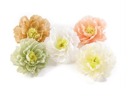 FIORE CARTA FERRATO D50 ASS