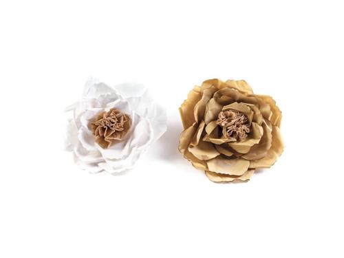 FIORE CARTA BRISTOL D35 ASS