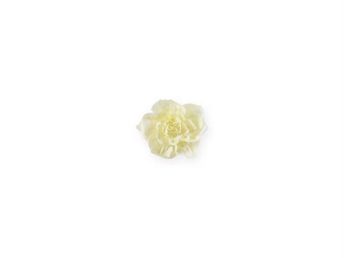 FIORE CARTA VELINA D25 CREMA
