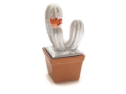 CONTENITORE CACTUS CERAMICA CM11X25 PERLATO