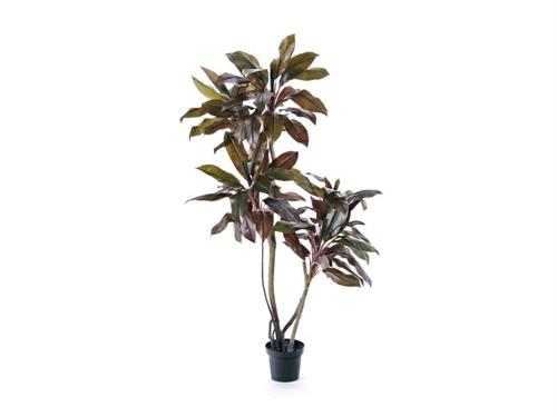 PIANTA YUCCA REAL TOUCH CM180 VERDE-ROSSO