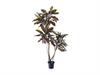 PIANTA YUCCA REAL TOUCH CM180 VERDE-ROSSO
