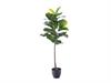 PIANTA FICUS LYRATA REAL TOUCH CM125 VERDE