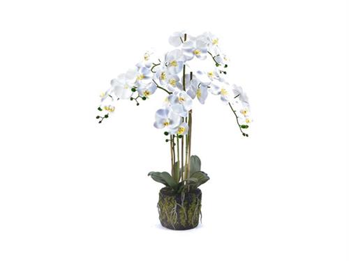 PIANTA PHALAENOPSIS REAL TOUCH CM90 CON ZOLLA BIANCO