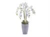 PIANTA PHALAENOPSIS REAL TOUCH CM127 IN VASO STONE NERO