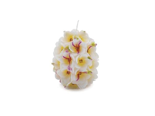 CANDELA UOVO FRANGIPANI CM9X12 MULTI