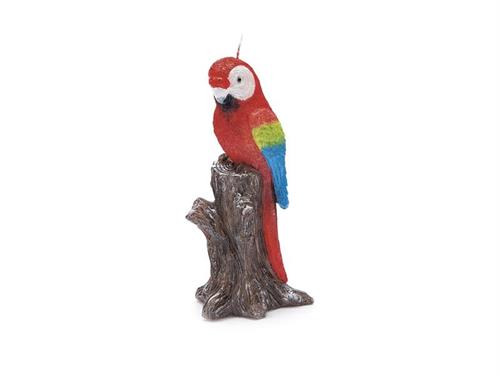 CANDELA PARROT CM10X21 MULTI