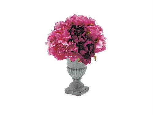 COPPA C/PEONIE CM22X30 BEAUTY