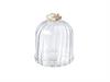 MINI CLOCHE VETRO ROSE CM7X8 TRASPARENTE