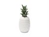 ANANAS CERAMICA CM12X28 BIANCO/VERDE