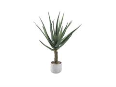 PIANTA ALOE C/VASO CEMENTO CM86 VERDE