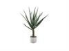 PIANTA ALOE C/VASO CEMENTO CM86 VERDE