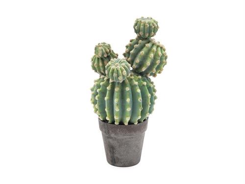 PIANTA CACTUS PALLA CM40 VERDE