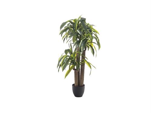 PIANTA DRACAENA REAL TOUCH CM120 VERDE