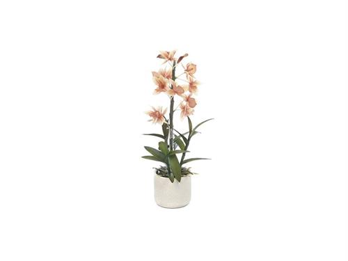 PIANTA CATTLEYA C/VASO CM48 SALMONE
