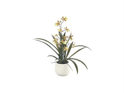 PIANTA CAMBRIA 3D C/VASO CM46 GIALLO