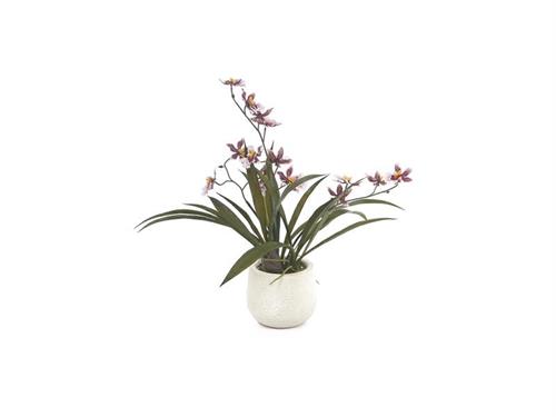 PIANTA CAMBRIA 3D C/VASO CM46 ROSA