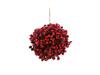 SFERA BACCHE ROSA CANINA D28 ROSSO
