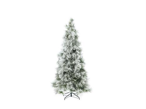 ABETE LIVIGNO H270 EASY OPEN INNEVATO