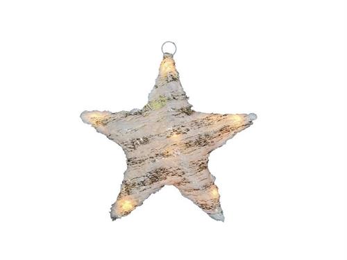 STELLA LUMINOSA WHITE&GOLD C/10 LUCI LED A BATTERIA (2xAA) CM30X31 B