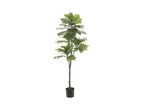 PIANTA ARTOCARPUS REAL TOUCH CM178 VERDE