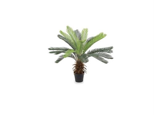 PIANTA CYCAS CM90 VERDE