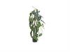 PIANTA ALOCASIA REAL TOUCH CM77 VARIEGATO VERDE/BIANCO