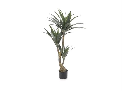 PIANTA SANSEVERIA CM120 VERDE