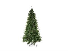 ABETE TRENTINO H240 (1940 TIPS) EASY OPEN VERDE