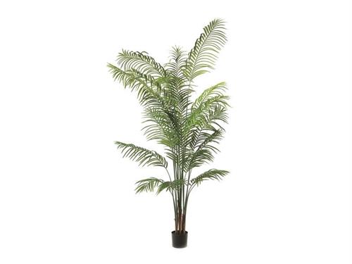 PIANTA PALMA REAL TOUCH CM240 VERDE