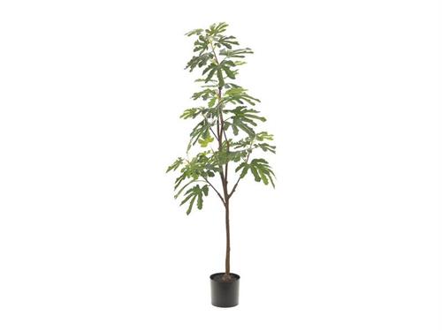 PIANTA FICO REAL TOUCH CM178 VERDE