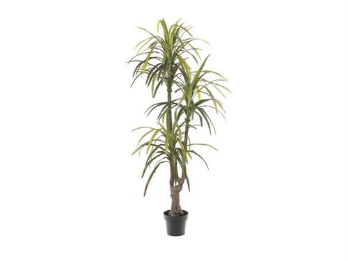 PIANTA DRACAENA REAL TOUCH CM190 VERDE