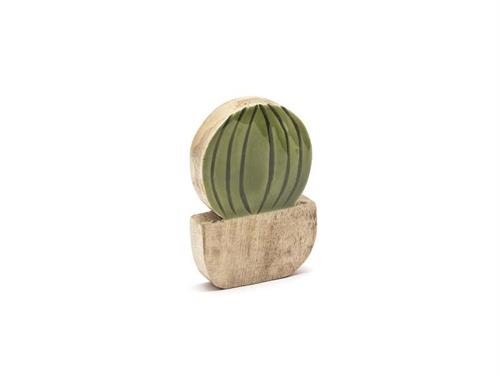CACTUS LEGNO CM11X17 VERDE