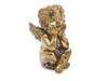 CASPO' RESINA ANGEL CM26X41 OLD GOLD