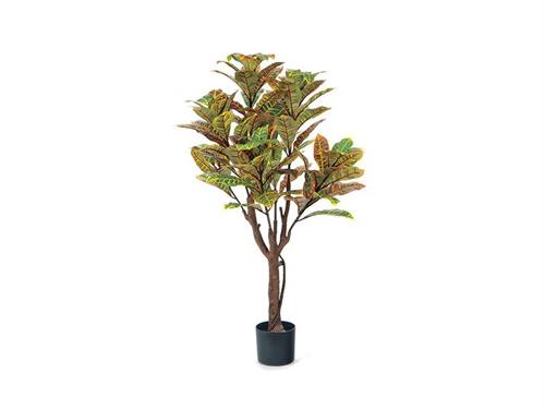 PIANTA CROTON CM117 REAL TOUCH GIALLO-VERDE