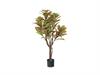PIANTA CROTON CM117 REAL TOUCH GIALLO-VERDE