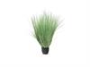 PIANTA ONION GRASS CM110 VERDE CHIARO