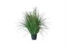 PIANTA ONION GRASS CM110 VERDE SCURO