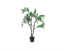 PIANTA JASMINE CM120 REAL TOUCH LILLA