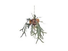 PENDENTE KOKEDAMA PLATYCERIUM CM79 VERDE