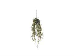 PENDENTE KOKEDAMA DISCHIDIA CM66 VERDE